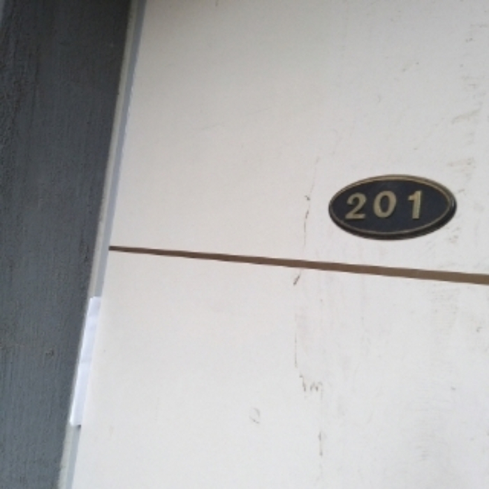 세대 출입문(201호)