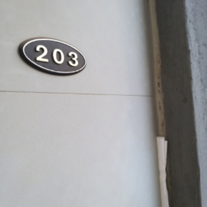 세대 출입문(203호)