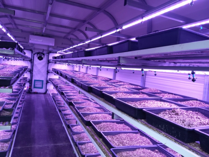 본건 전경(기호10-19 공장 내부(스마트팜))