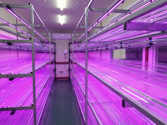 본건 전경(기호7 공장 내부)