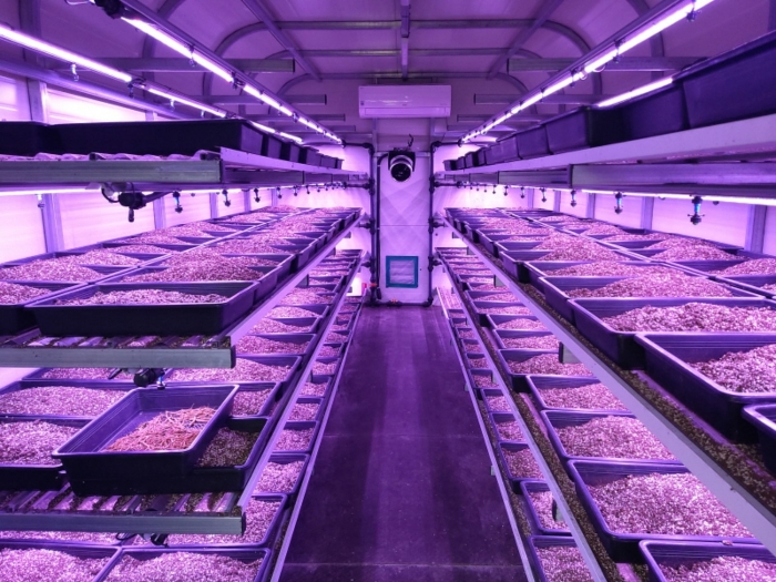 본건 전경(기호10-19 공장 내부(스마트팜))