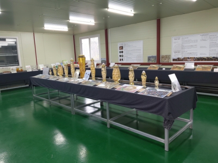 본건 전경(기호7 전시실 내부)