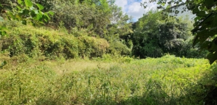 6번 부동산 모습