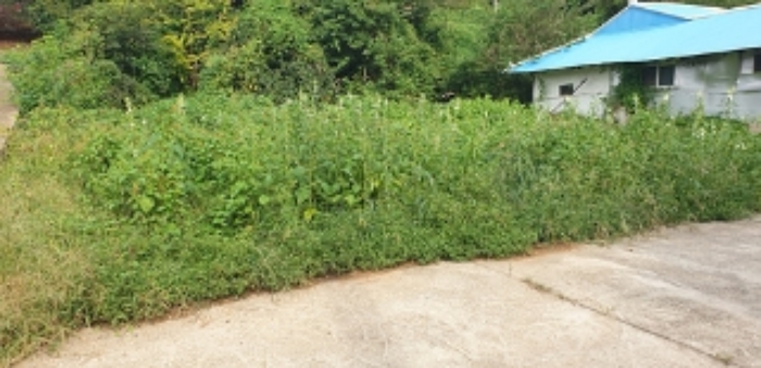 4번 부동산 현황 `묵전` 모습