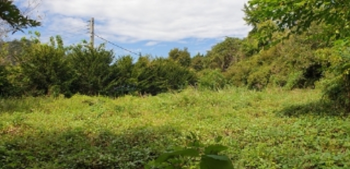 5번 부동산 북측 지상 모습