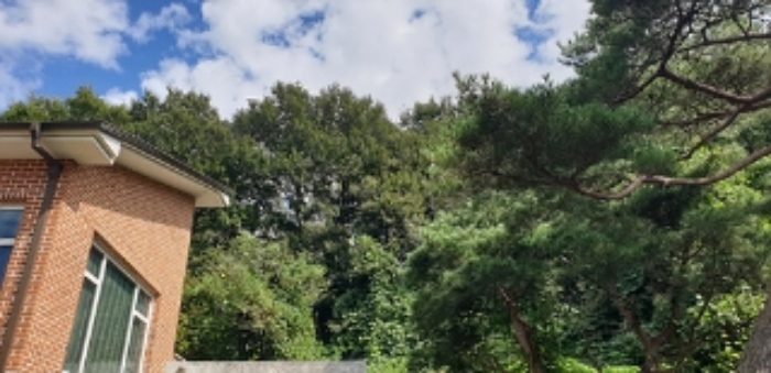 7번 부동산 모습