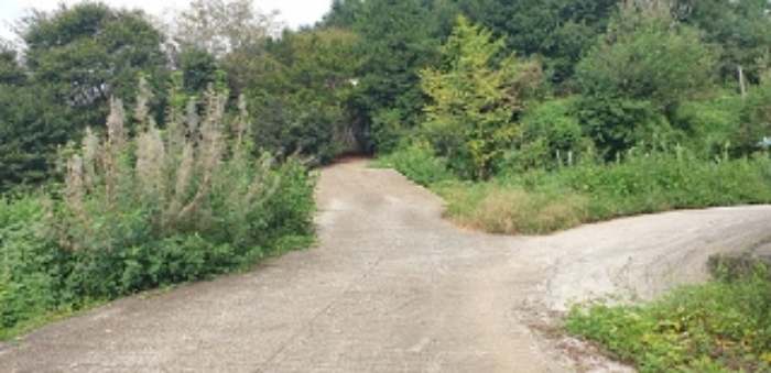 8,9,10,11번 부동산 현황 `도로` 모습