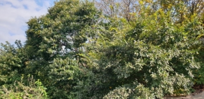 1번 부동산 모습