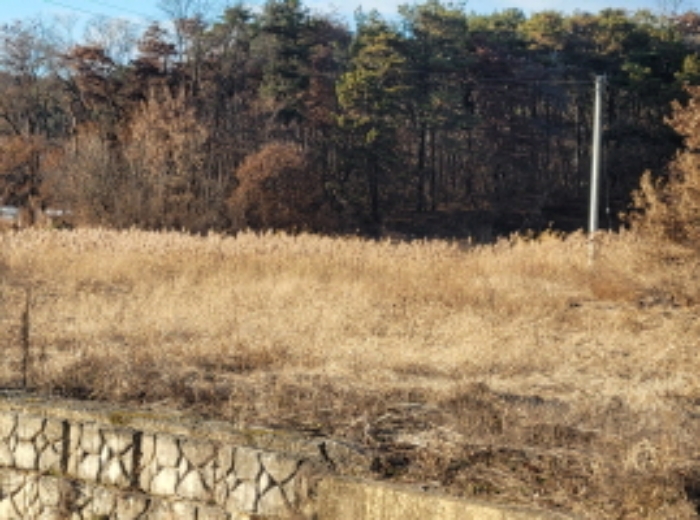 경북 성주군 선남면 소학리 766