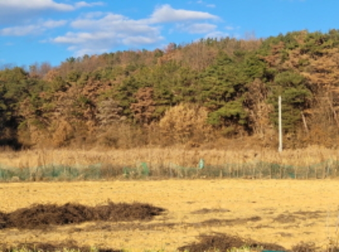 경북 성주군 선남면 소학리 768