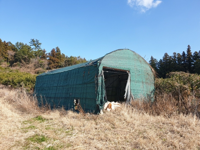 제시외건물(ㄷ)