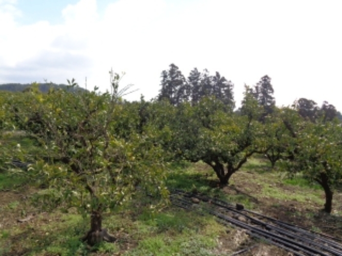 소재지5.(회수동 527)