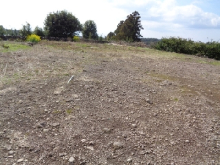 소재지6.(회수동 499-2)