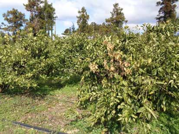 소재지3.(회수동 499-4)