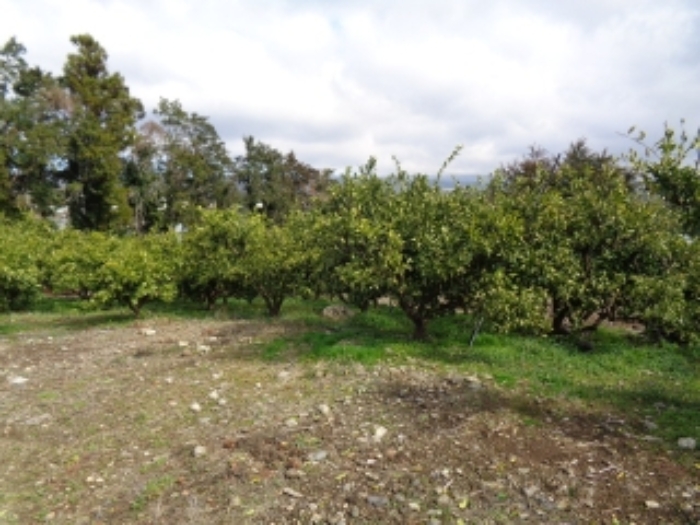 소재지1.(회수동 499-1)