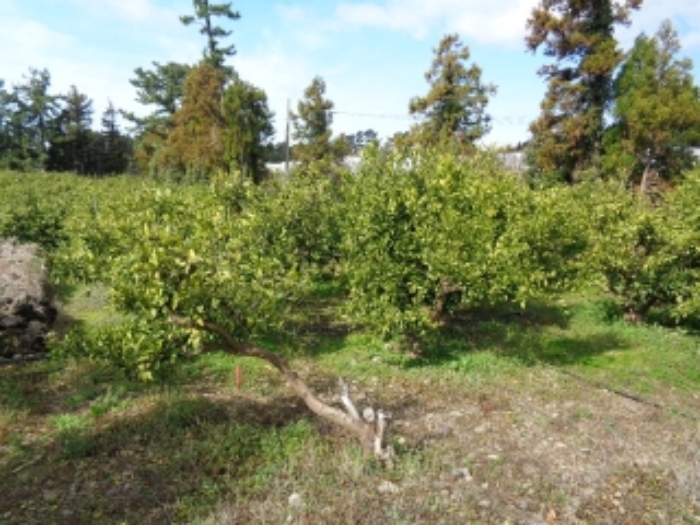 소재지2.(회수동 499-3)