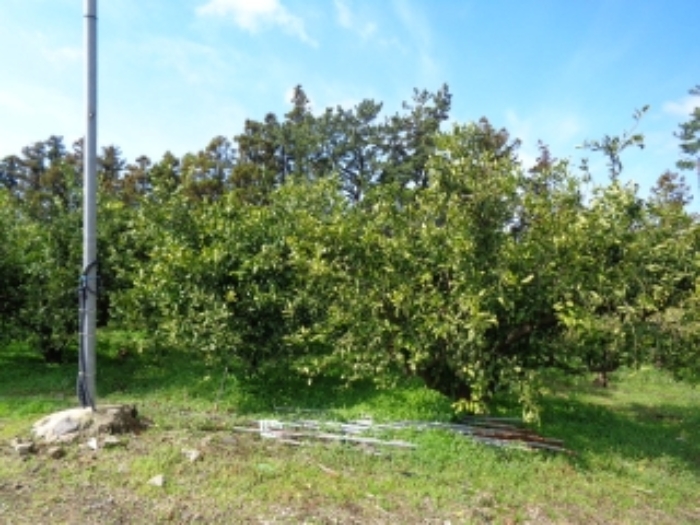 소재지4.(회수동 499-5)