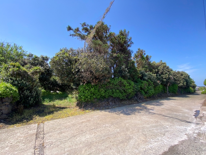 일련번호 1 전경