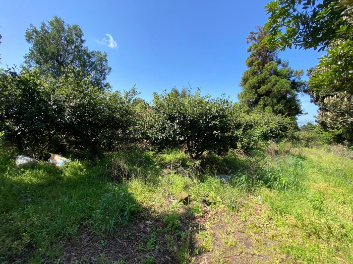 일련번호 1 현황