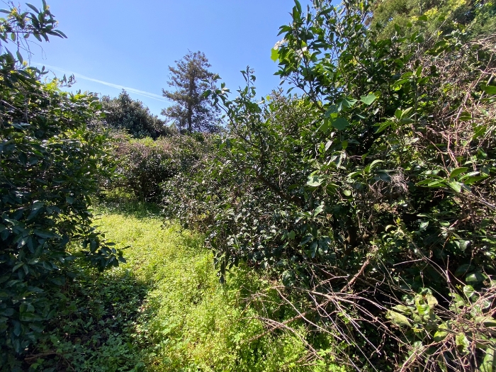 일련번호 2 현황