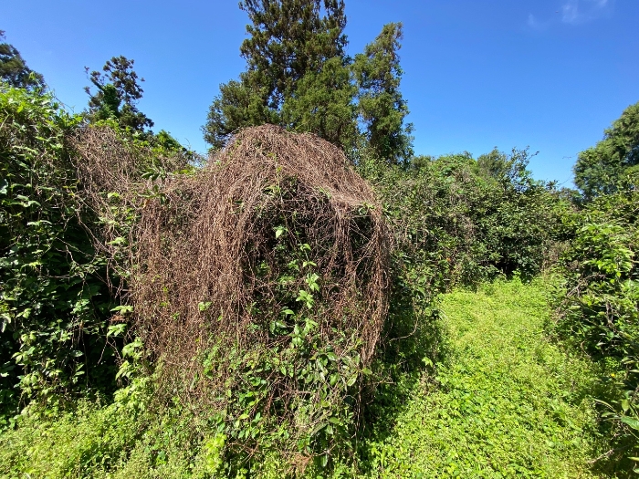 일련번호 2 현황