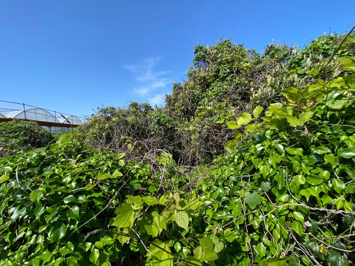 일련번호 3 현황