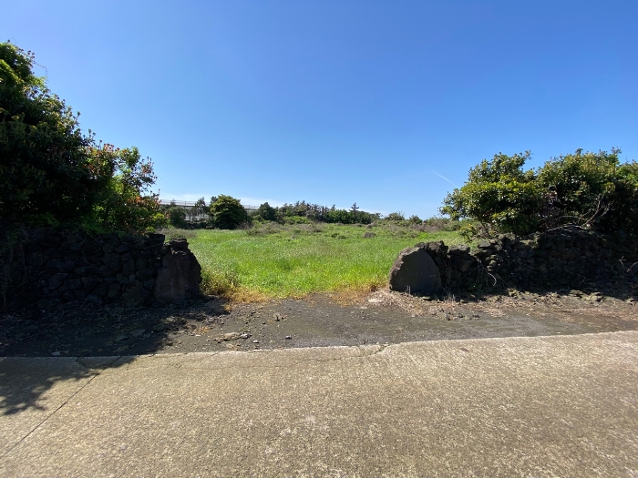 일련번호 4 전경