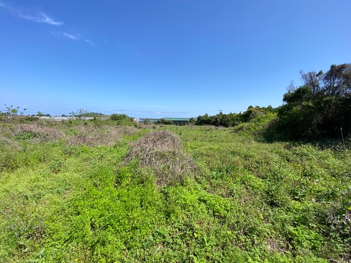 일련번호 4 현황