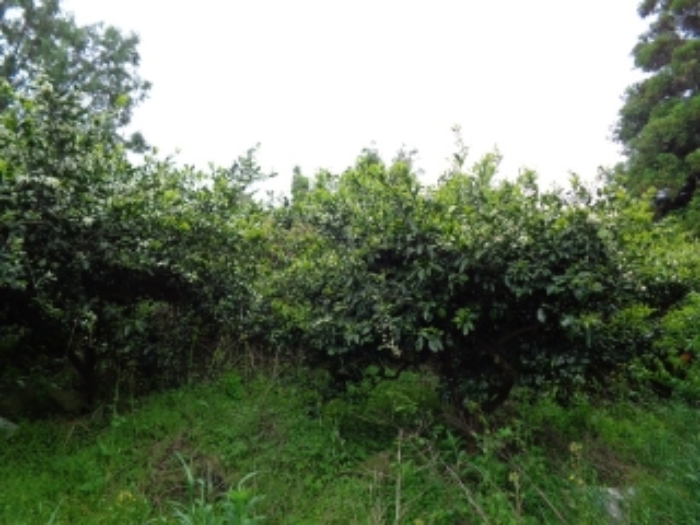 소재지1.(조수리 854-3)