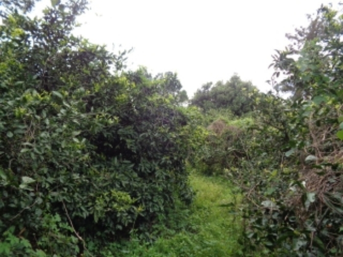 소재지2.(조수리 851)