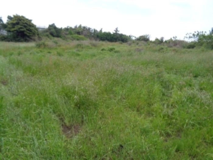 소재지4.(조수리 891-1)