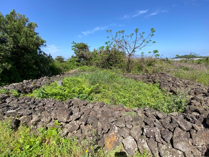 제시외 분묘 전경