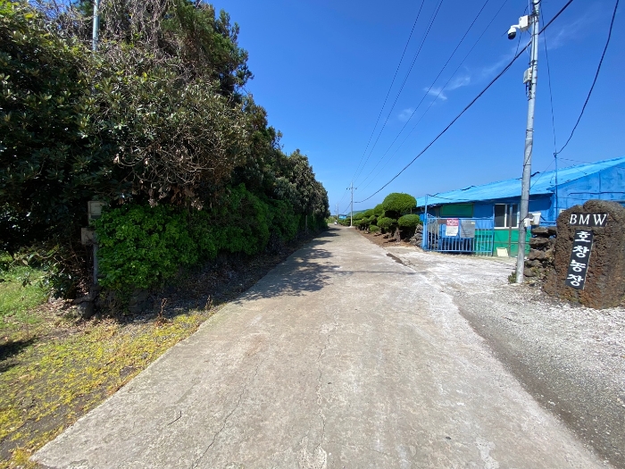 일련번호 1,4 접면도로 및 주위환경