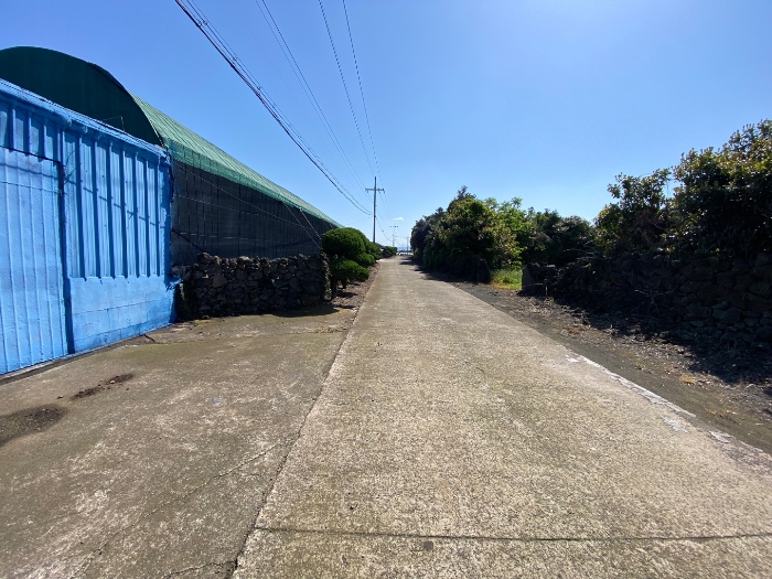 일련번호 1,4 접면도로 및 주위환경