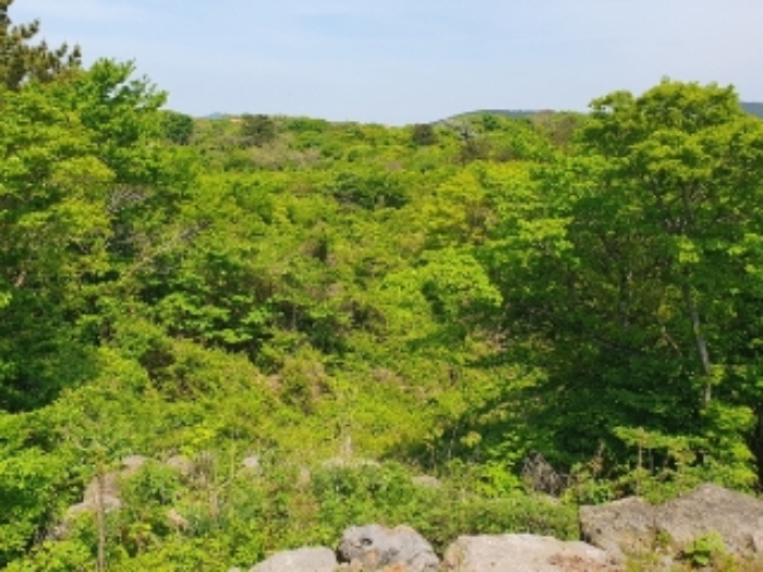 소재지1.(교래리 산99) 전경