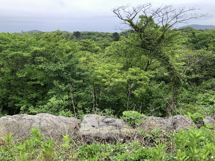 기호 1 서측 전경