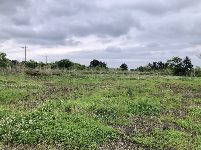 기호 2,3 남측 전경