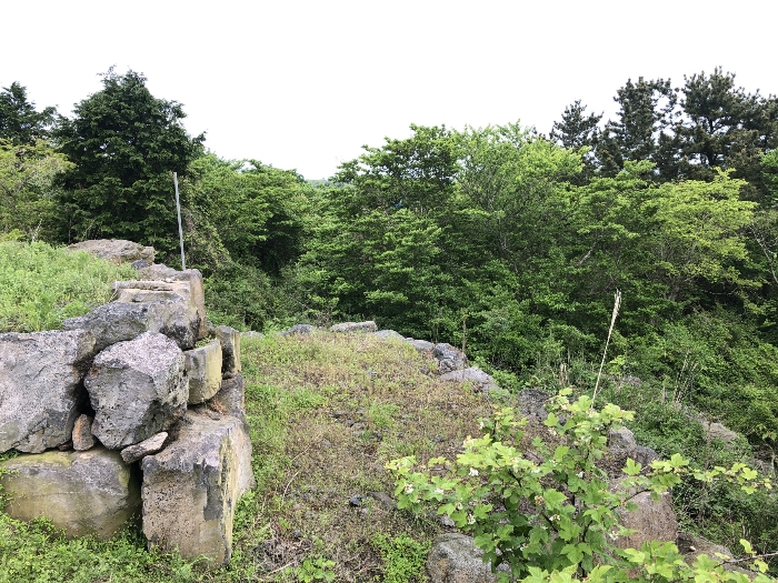 기호 3 중앙부 전경