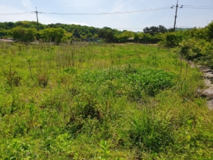 소재지2.(교래리 385-10) 전경