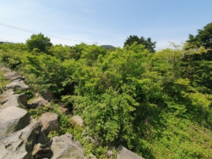 소재지3.(교래리 385-11) 전경