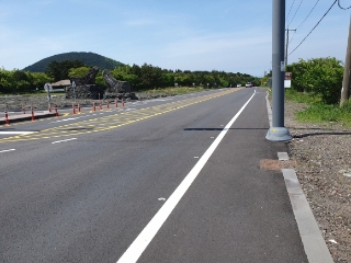 소재지2, 3. 토지 인접 도로 전경