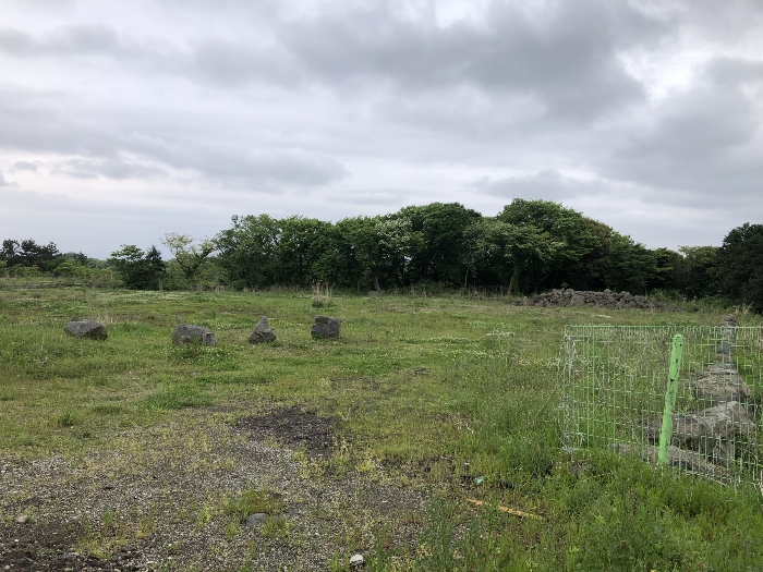 기호 1 남서측 원경