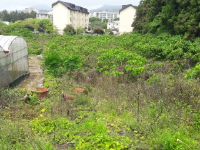 소재지1.(동홍동 1150) 전경