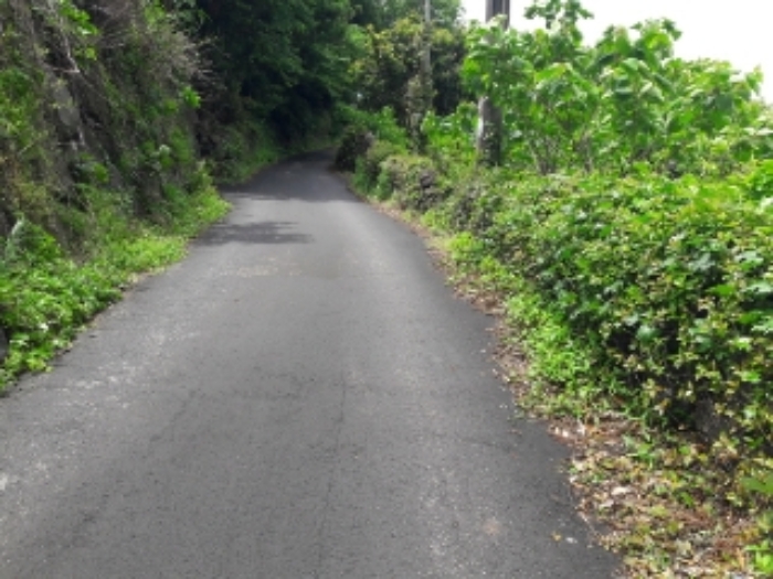 소재지3(동홍동 1150-2) 전경