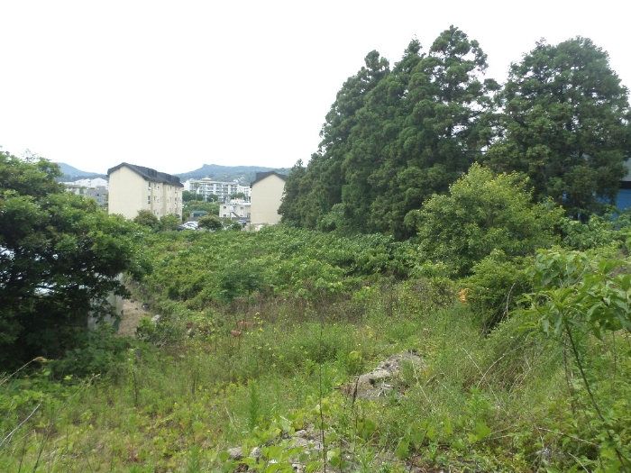 기호(1)-(3) 전경