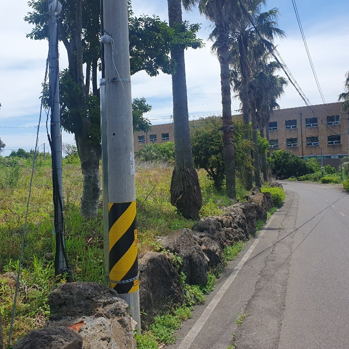 기호1,3,5) 지상 식재 수목