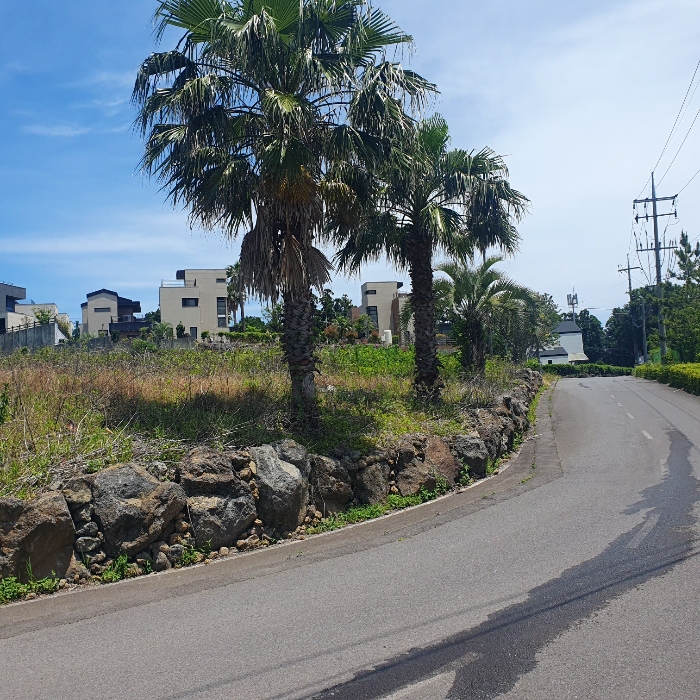 기호3,5) 지상 식재 수목