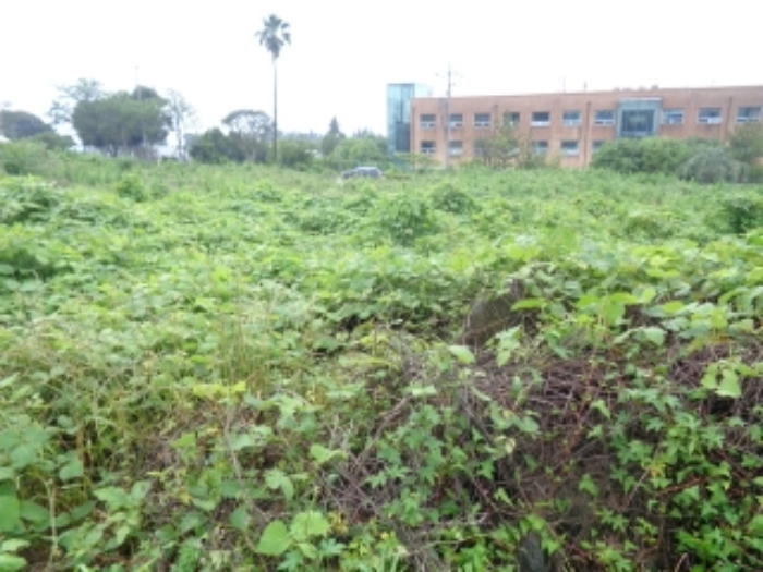 소재지1(강정동 3370-3) 전경사진