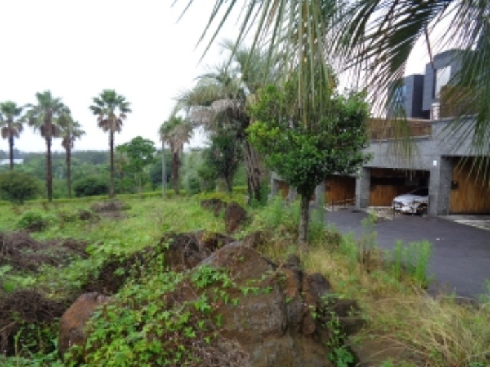 소재지1(강정동 3370-3) 전경사진