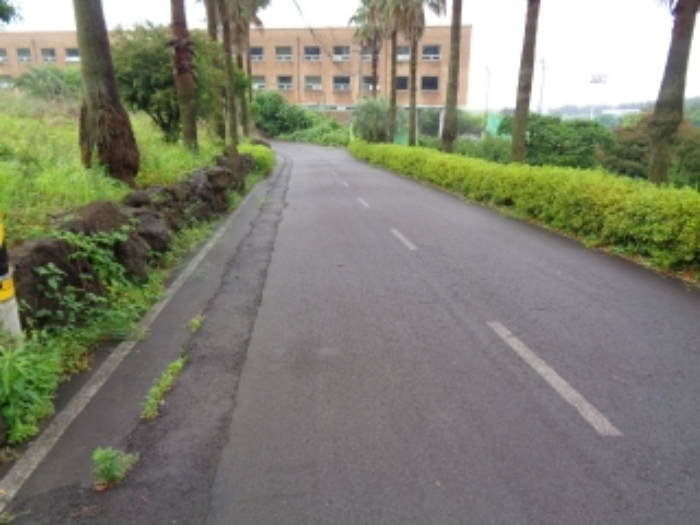 소재지2(강정동 3370-4) 전경사진